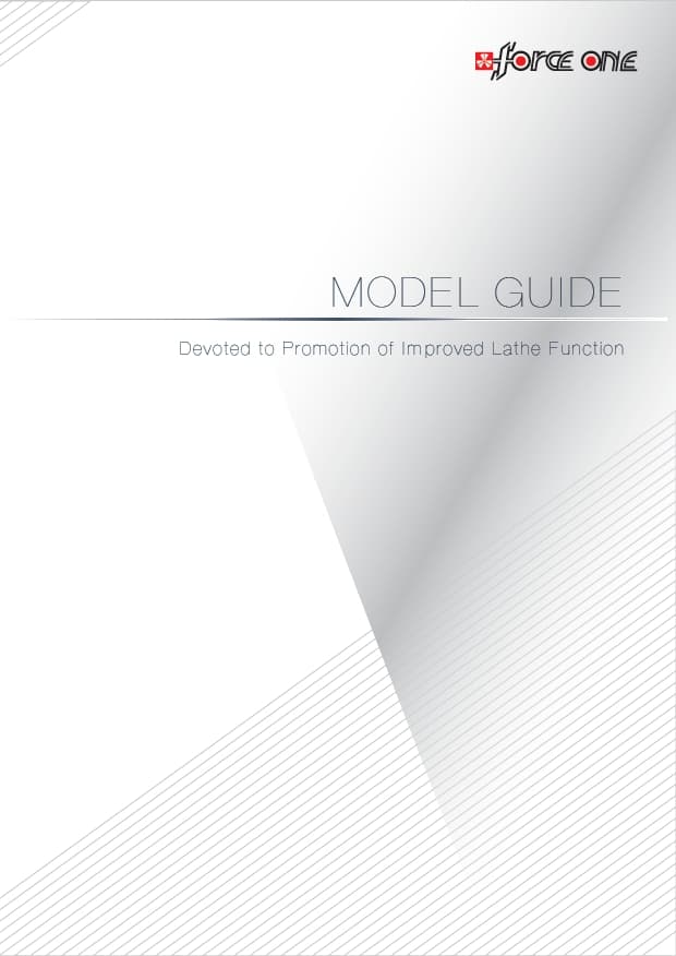 Model Guide